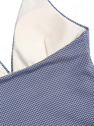 Janexswim Vintage Gingham Deep V-neck Halter Tied Bikini Tankini Top
