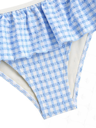 Light Blue Bubble Grid Textured Peplum Skirted Bikini Bottom