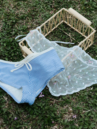 Light Blue Striped Low Rise Bikini Bottom Cheeky Swim Boyshorts
